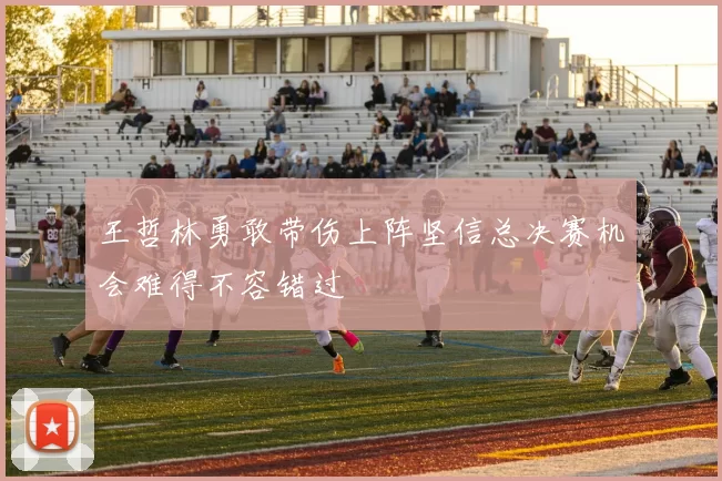 王哲林勇敢带伤上阵坚信总决赛机会难得不容错过