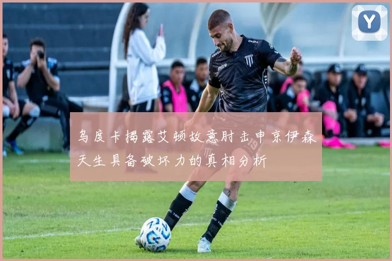 乌度卡揭露艾顿故意肘击申京伊森天生具备破坏力的真相分析